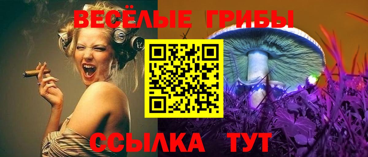 Псилоцибиновые грибы MAGIC MUSHROOMS  Вход с VPN  Псилоцибиновые грибы Psilocybe  Воткинск 